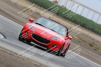 media/Jul-31-2022-Speed Ventures (Sun) [[bfb4b6530b]]/Black Group/Grapevine/